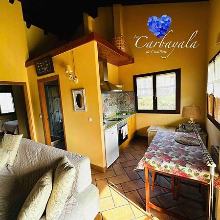Apartamentos Rurales La Carbayala Oviñana Dış mekan fotoğraf