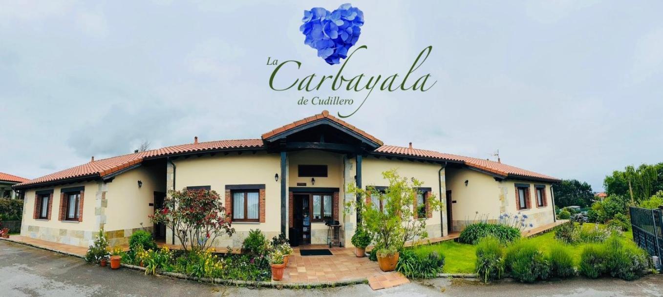 Apartamentos Rurales La Carbayala Oviñana Dış mekan fotoğraf