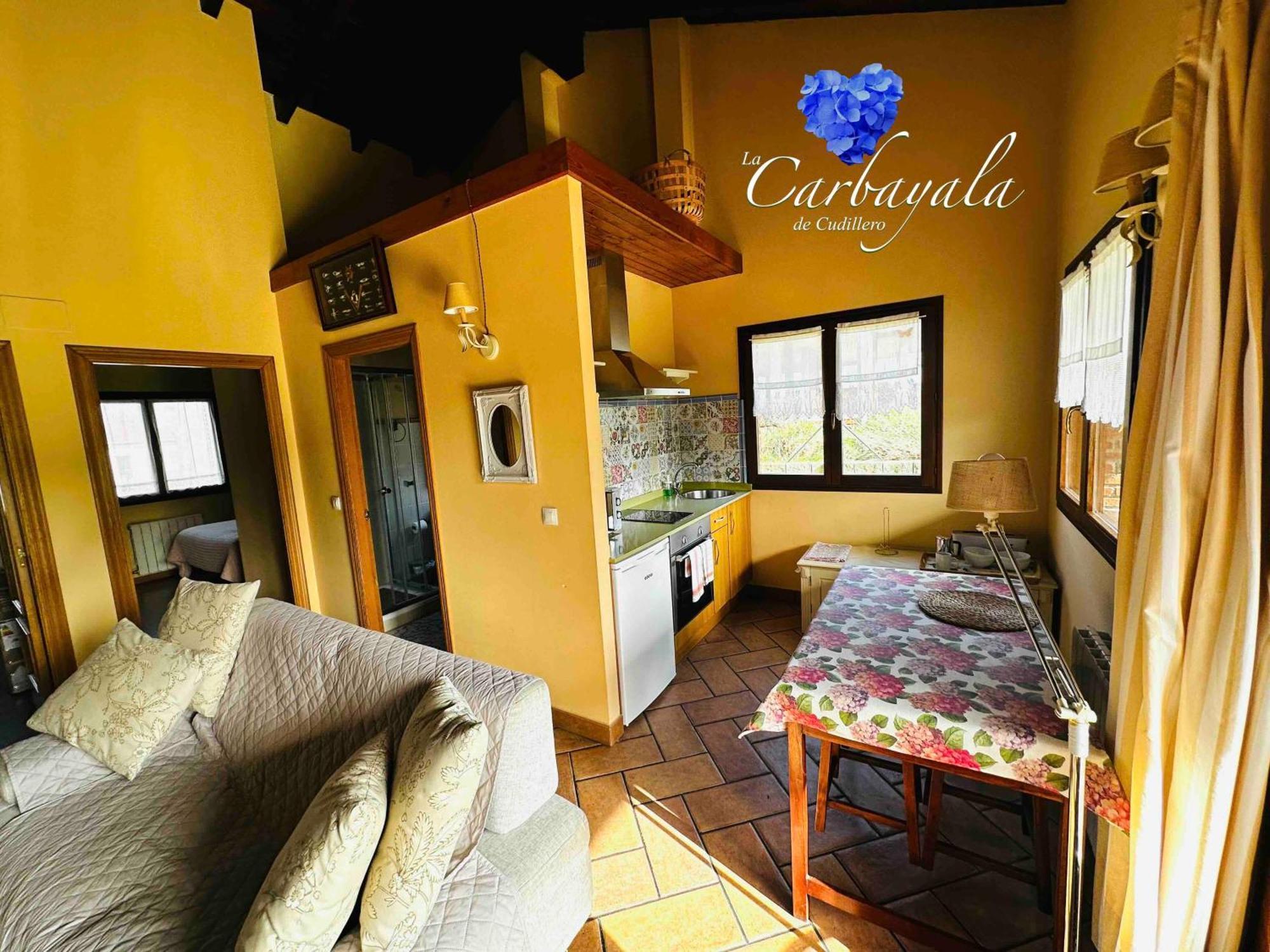 Apartamentos Rurales La Carbayala Oviñana Dış mekan fotoğraf