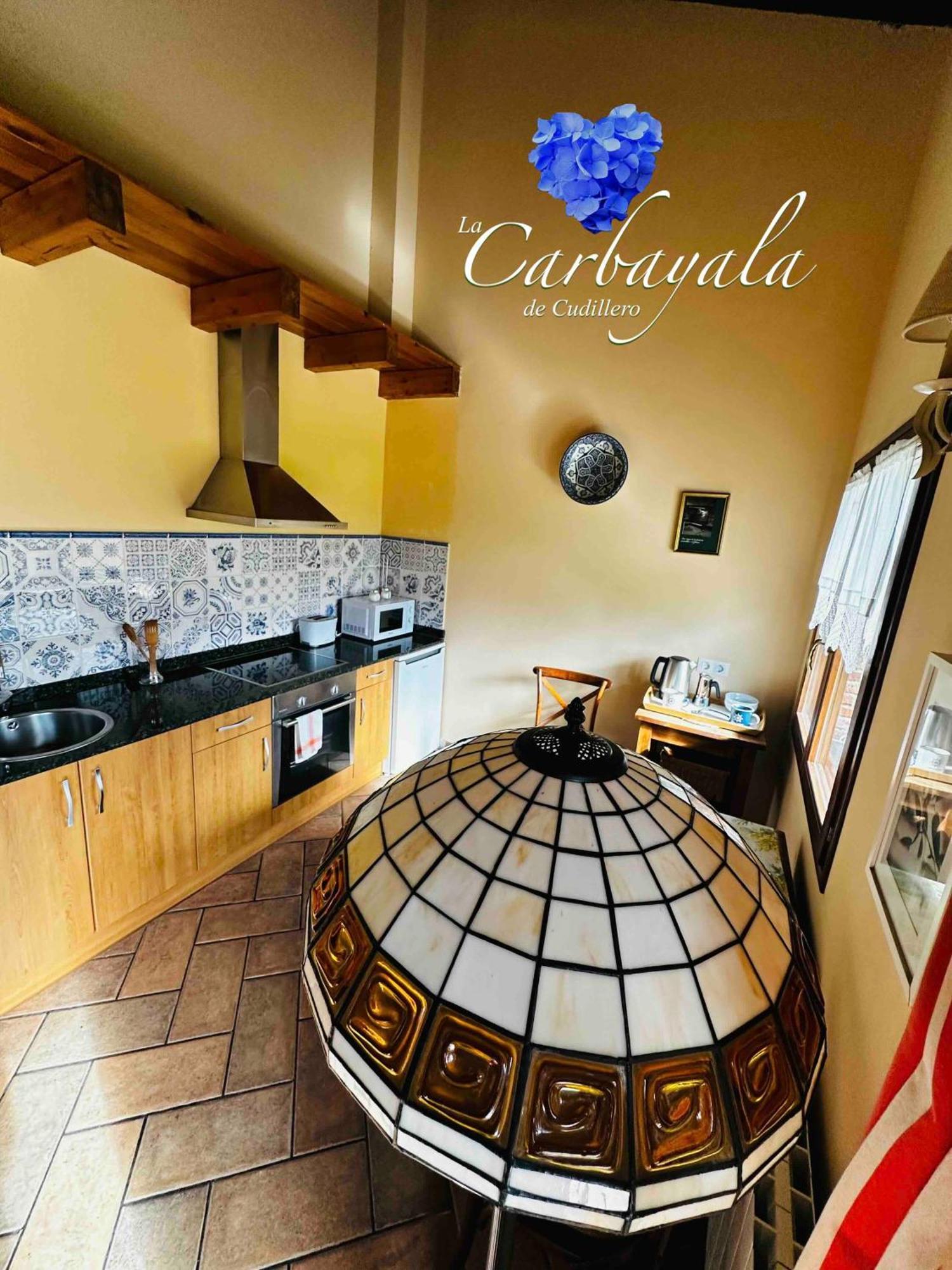 Apartamentos Rurales La Carbayala Oviñana Dış mekan fotoğraf